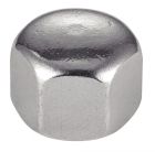 ECROUS BORGNES HEXAGONAUX BAS DIN 917 10