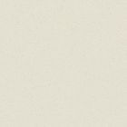 Grès cérame porcelainé - Pro Architectura 3.0 Carreau de fond 30 x30 cream white