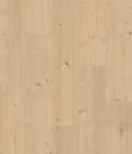 Revêtement de sol LVT - Signo LVT à coller SPC LVT à coller; 2,50mm épaisseur; coloris 21