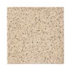 DALLE GRAV GG 50X50X5,3 T11 (10M2) FD BLANC