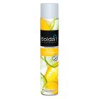 BOLDAIR ZESTE CITRONNE 500ML