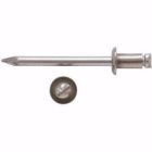 RIVET INOX/INOX TP BL/50 4,8X1