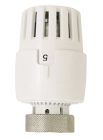 TETE THERMOSTATIQUE Coque