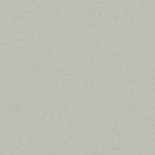 Grès cérame porcelainé - Pro Architectura 3.0 Carreau de fond 20 x20 secret grey