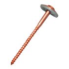 Vis bois tête parapluie inox cuivre Torx 4,5 x 65 mm - Boîte de 50