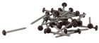 CLOU INOX EMBOUT PLASTIQUE LONGUEUR 30MM MARRON    - CI30M