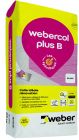 Colle ideale renovation WEBERCOL PLUS B (blanc) sac 5kg