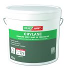 Peinture acrylique de decoration CRYLANE B245 - seau de 20kg