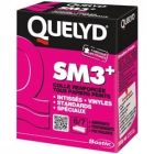 QUELYD COLLE PAPIER SM3 300G