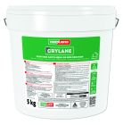 Peinture acrylique de décoration - CRYLANE V314 - seau de 5kg