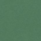 Panneau medium teinté - Legnomass colored green 5mm