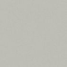 Grès cérame porcelainé - Pro Architectura 3.0 Carreau de fond 30 x30 secret grey