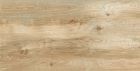 GRES CERAME - ESP 16X160 COGNAC RETT