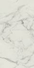 Grès cérame porcelainé émaillé - Marble Arch Carreau de fond 60 x120 magic white