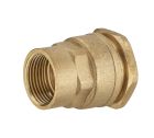 raccord laiton pr tuy. polyéthylène femelle F50x60 Ø63 lien 1 pièce