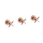 DOUCHE CROSS ROAD ENCASTRE MELANGEUR 2 SORTIES OR ROSE BROSSE