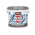 RUBSON Revêtement Waterproof Toitures Anti-infiltrations Gris Seau, 10kg