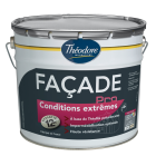 Peinture - FACADE CONDITIONS EXTREME BLANC/T 10 L