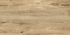 GRES CERAME - ECH SCOTTISH 20X20 RETT