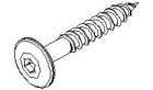 Vis tête ronde Torx rouge vin - long. 30 mm - Paquet de 100