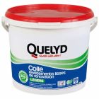 QUELYD COLLE REVETEMENTS LISS/LEGER5KG