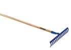 RATEAU DLE FORG 14 DC SM