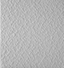 TOILE EN FIBRE DE VERRE SEM CREPI C 10 50M X1M