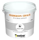 Enduit de parement de façade a la chaux minerale WEBER BADIGEON CHAUX brun fonce 013 seau de 10kg
