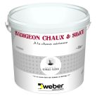 Enduit de parement de façade a la chaux minerale WEBER BADIGEON CHAUX ET SILICE marron moyen 240 seau de 10kg