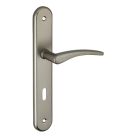 Ensemble poignee de porte Vesta aluminium brosse 195 mm a cle