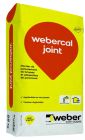 MORTIER COLORE DE JOINTOIEMENT WEBERCAL JOINT 12-203 25KG