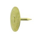 Punaise laitonnee - sachet x202