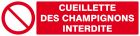 SIGNALISATION EXTERIEURE ET INTERIEURE CUEILLETTE DES CHAMPIGNONS INTERDITE l 330 L 120mm - Plaque en PS Choc.