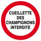 SIGNALISATION EXTERIEURE ET INTERIEURE CUEILLETTE DES CHAMPIGNONS INTERDITE D.300mm - Plaque en PS Choc.