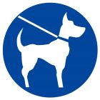 SIGNALISATION EXTERIEURE ET INTERIEURE CHIEN EN LAISSE OBLIGATOIRE D.300mm - Plaque en PS Choc.