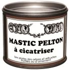 MASTIC CICATRISANT PELTON 195G   /NC