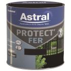 PROTECT FER BRILL.0.5L NOIR