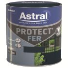 PROTECT FER BRILL.0.5L VERT BASQUE