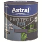 PROTECT FER BRILL.0.5L GRIS MIN-MINERA