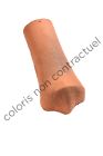 Tuile doublis de faitage et Tuile d'egout terre cuite Plate 20X30 Ardoise - long. 20,5 cm x larg. 20 cm