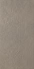 GRES CERAME FIN COLORE DANS LA MASSE Ep 9,5 mm 30X60 cm  BLOCK OUTD SILVER
