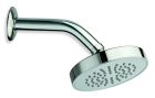 pomme de douche anticalcaire diam 10 cm avec bras chrome