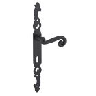 Ensemble poignee de porte Coq noir 195 mm a cle