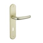 Ensemble poignee de porte Maia champagne 195 mm a cle