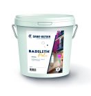 ASTIER BADILITH PATE BLANC 10KG 020