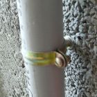 Cheville arpon en polypropylene - ARPON PAV - diam. 8 mm x long. 32 mm - Bidon plastique de 1200