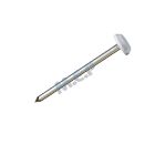 Pointes tete plate plastique annele blanc - long. 60 mm x diam. 13 mm - Boite de 100