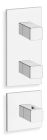 facade externe quadri 2 sorties pour mecanisme pd70200 chrome