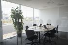 REPERAGE SURFACES VITREES - RLX DE 2500mm x 50mm MOTIFS RONDS TRANSLUCIDE DEPOLI