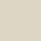 Grès cérame porcelainé - Pro Architectura 3.0 Carreau de fond 15 x15 cream white
